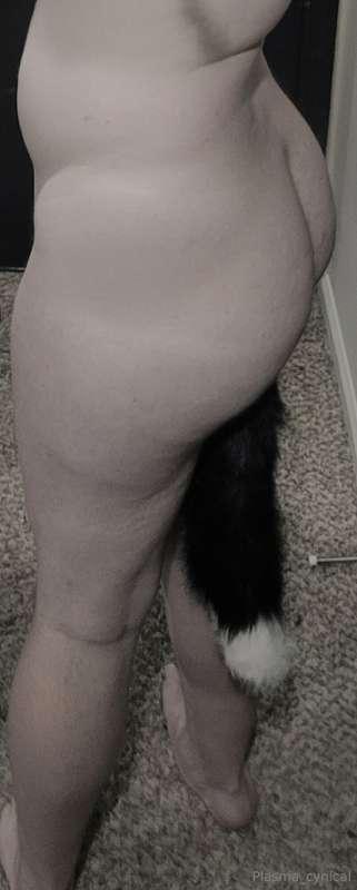 Using a butt plug tail for the first time
And double stuffin..