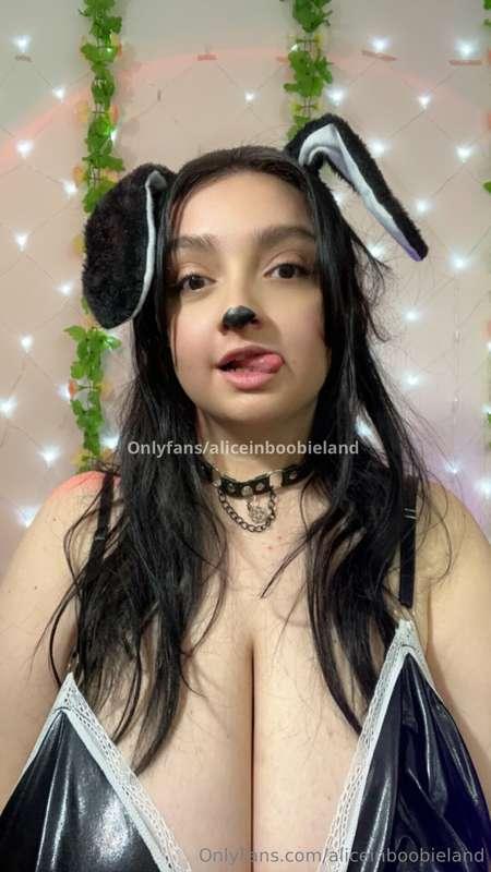 Today is Halloween 🎃 but have much surprises today 🎉🎉🎉