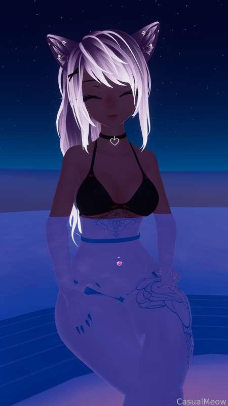casualmeowvr image #0