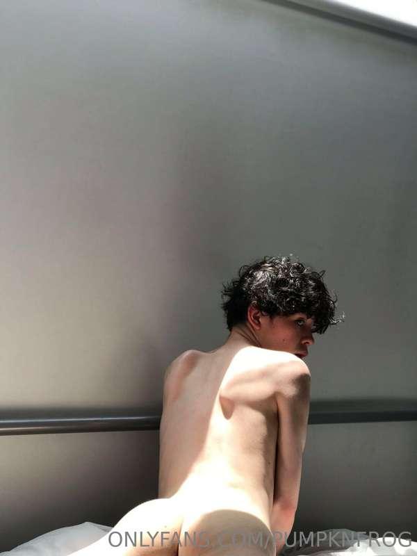 maplefroggy image #1