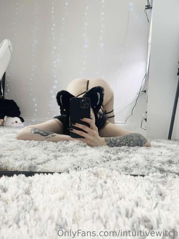 Meow 😏