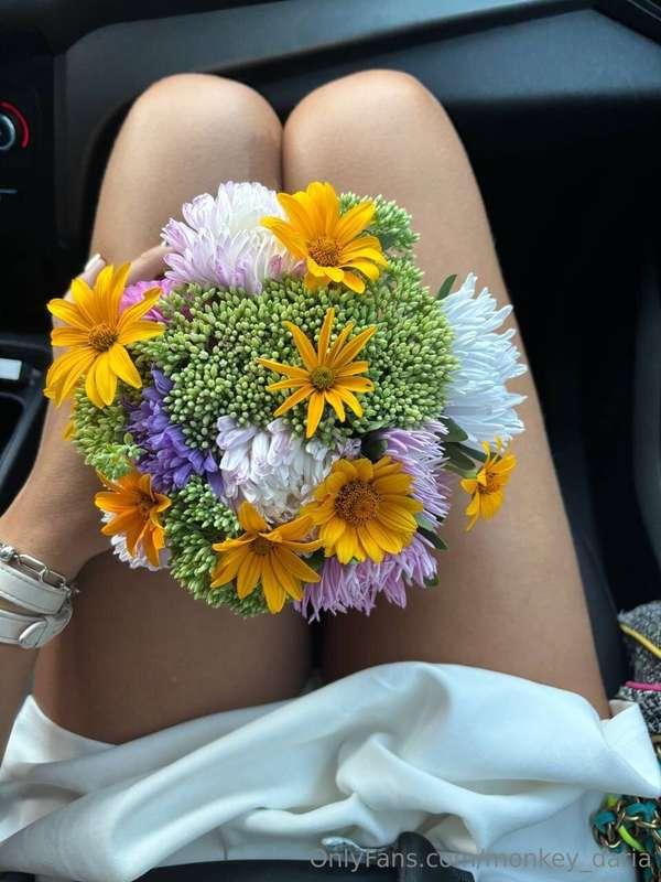 monkey_daria image #0