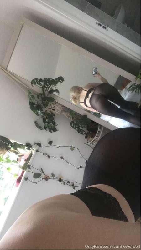sunfl0werdoll image #12
