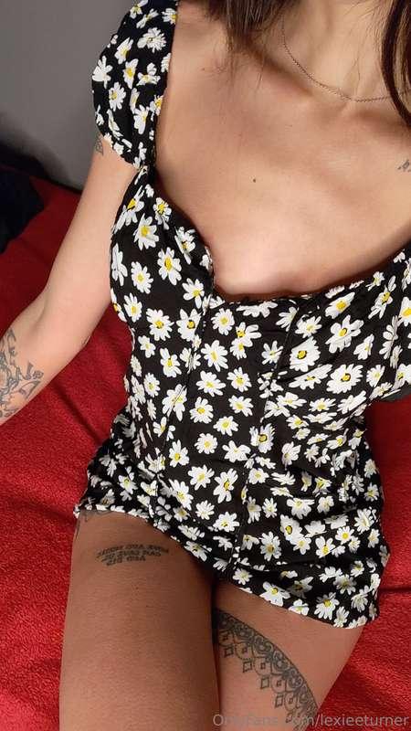 🌻🌻🌼🌼