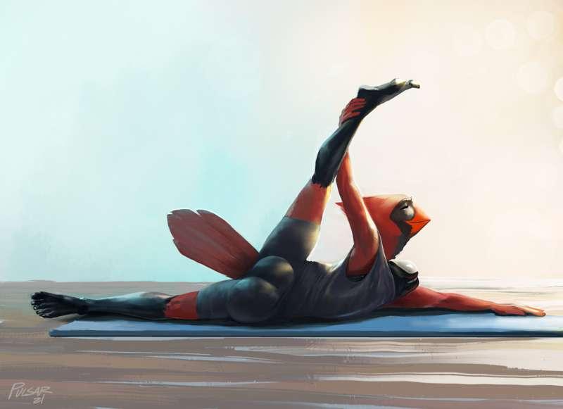 Yoga Stretch