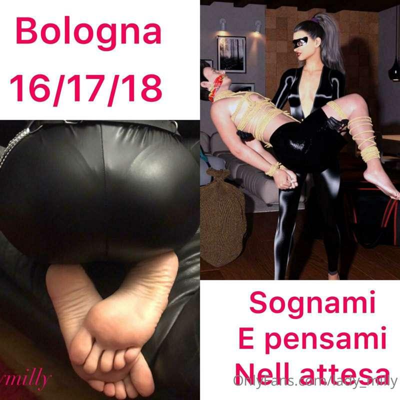 Si torna a Bologna!
BDSM -> tutte le pratiche tranne wc e cl..