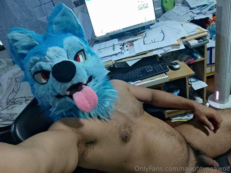 naughtyseawolf image #1