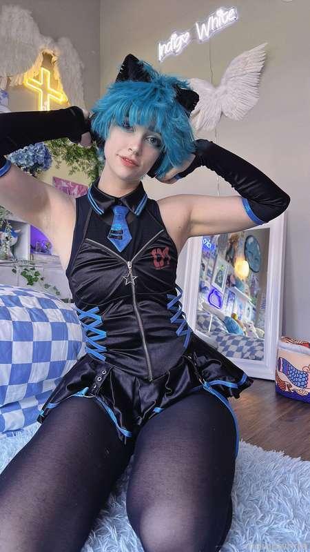 indigowhite image #141