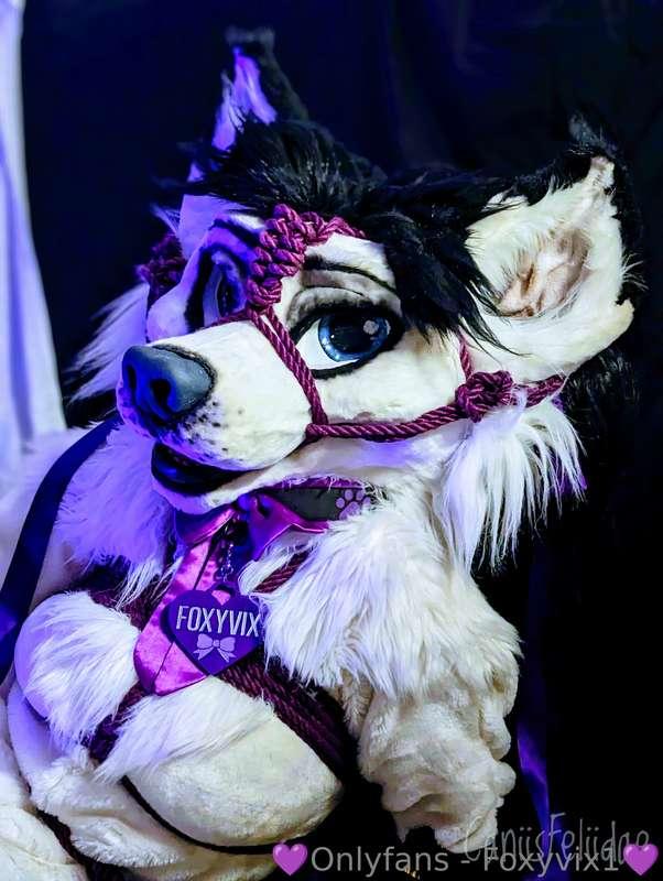 All roped up 😘