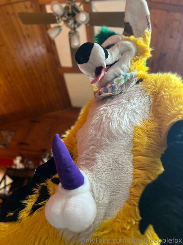 thepineapplefox image #0