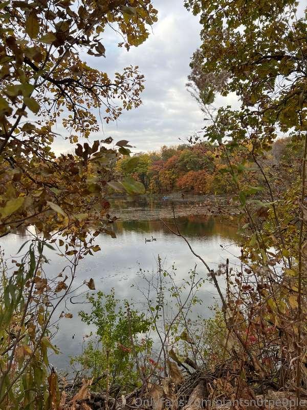 Hiking with my love this morning! The trail was too busy to ..