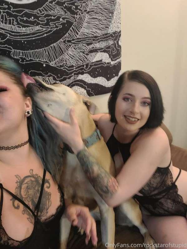 I was trying to do a new set for you all, but... 🐕 🐕 🐕 @bird..