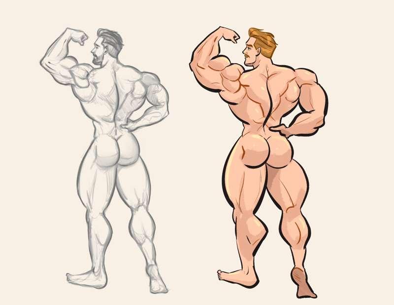 Anatomy study 