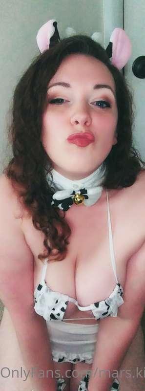 This cow needs some milk! I'll drink it all, promise. 🐄