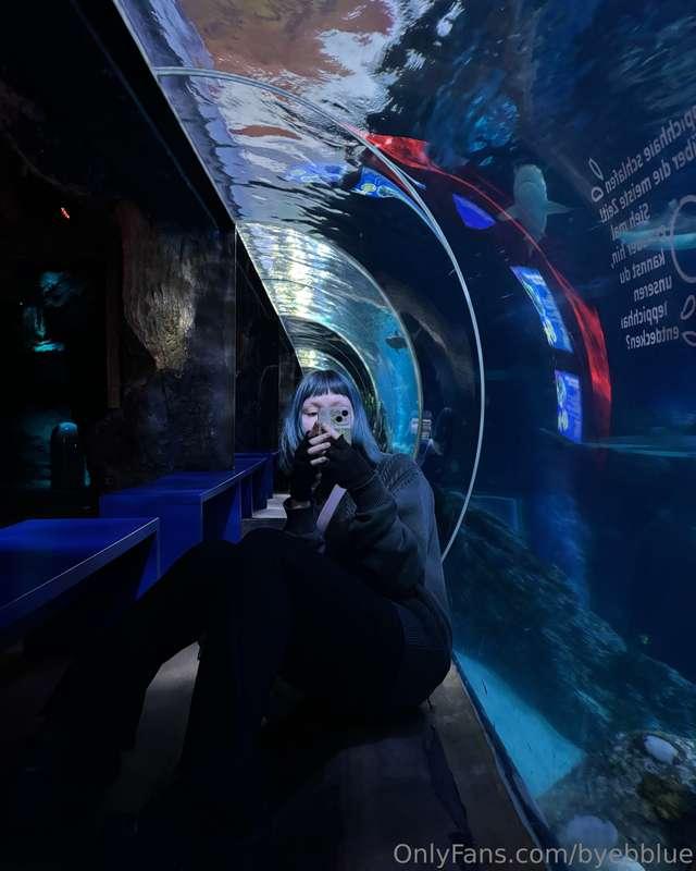 oceanarium tour 🪼⋆｡𖦹°🫧⋆𓇼