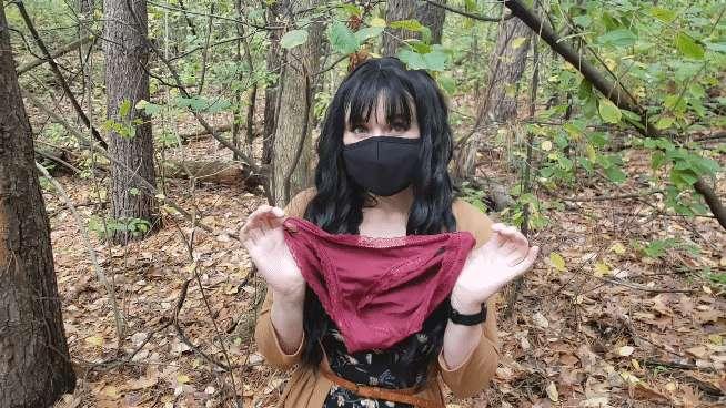 dahlialark image #1