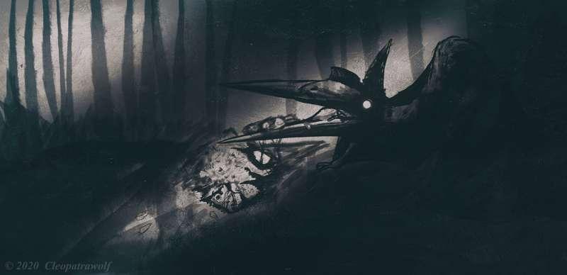 In The Woods