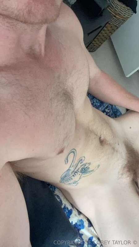 Who like my hairy chest and bushy pubes? 😝