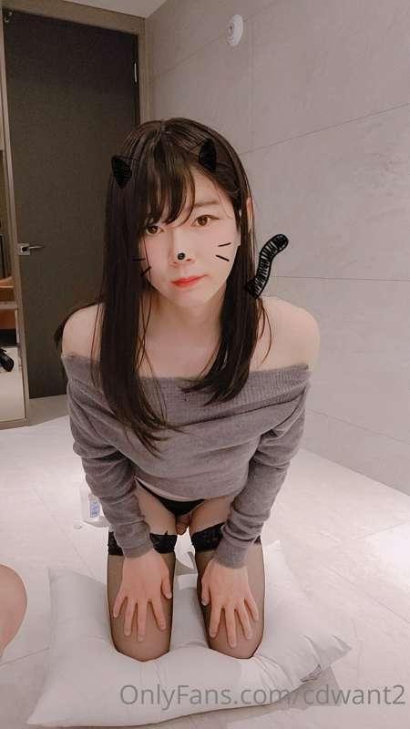 cdwant2 image #11