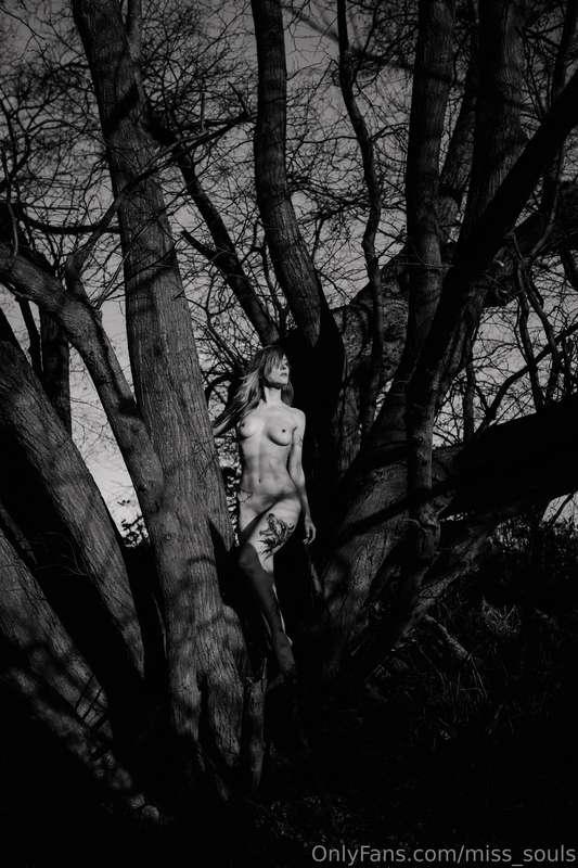 Nakie on tree 🌲🌳

Taken by: Susann Handke