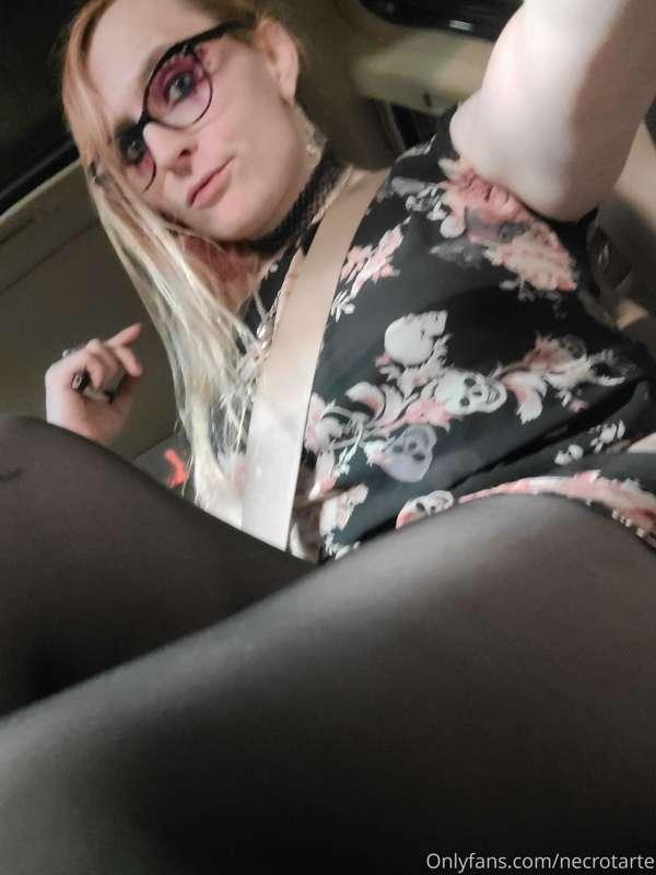 latrodectushex image #3