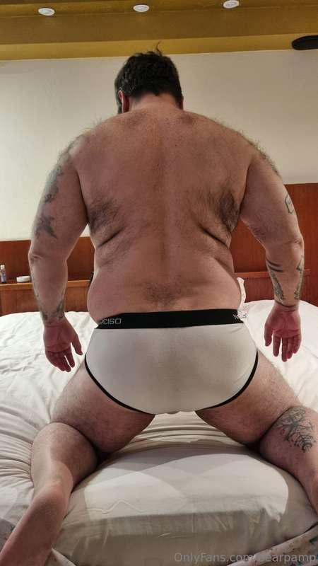 bearpamp image #1