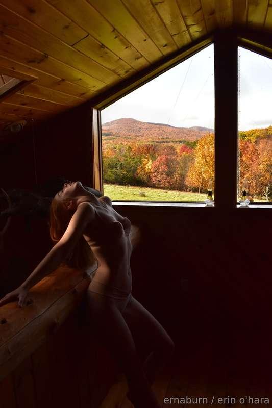 ginger peeping > leaf peeping
