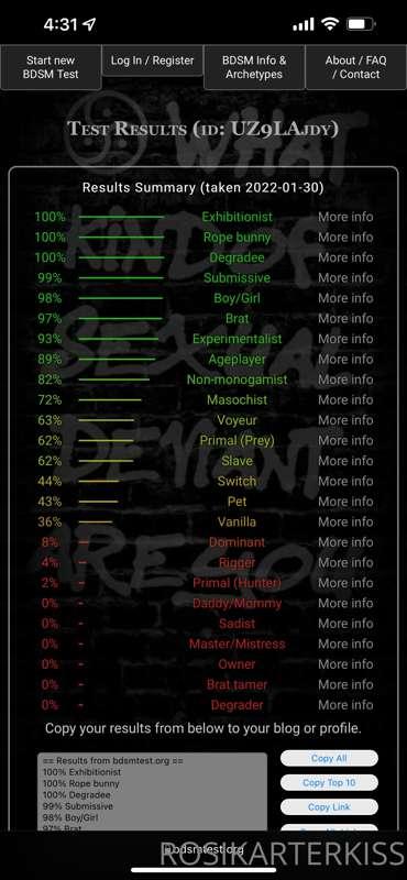 So I took the bdsm test and here are my results 👀 Could you ..