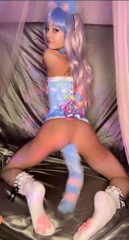 loonicorn main image