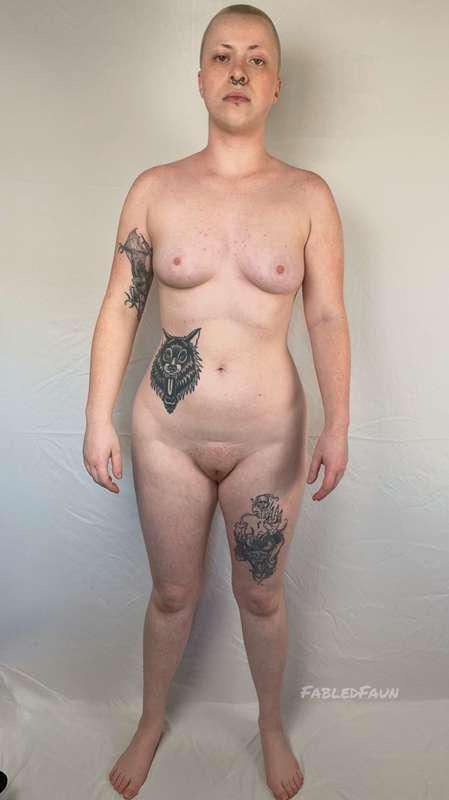 fabledfaun image #0
