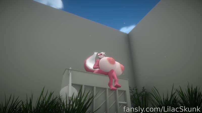 lilacskunk image #3