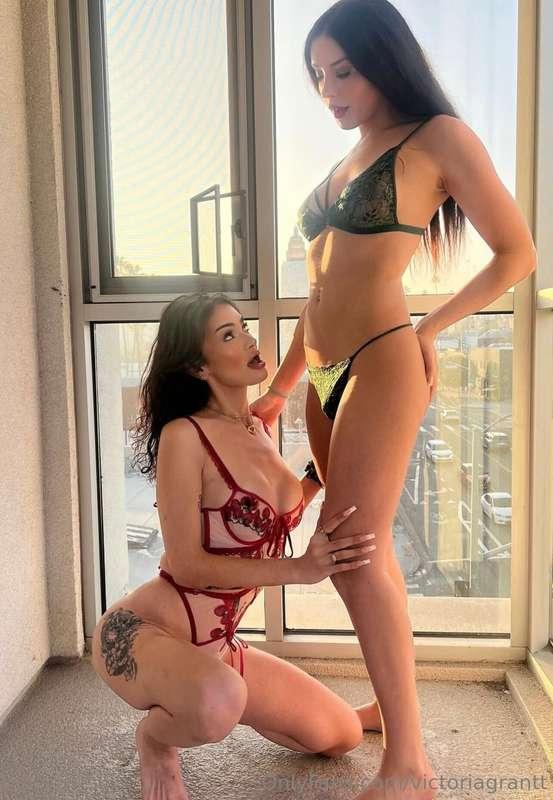 wanna see 2 hot trans girls suck each other???? message me h..