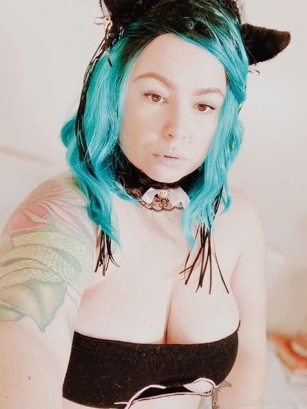 Oh, hi! 🐱