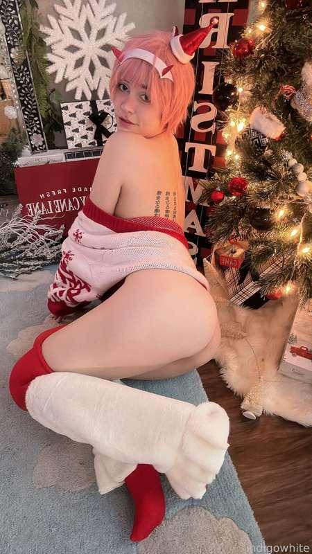 indigowhite image #14