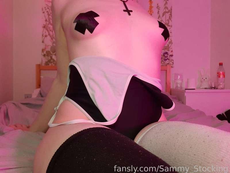 sammy_stocking image #1