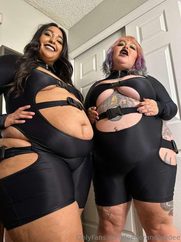feederandfeedee image #0