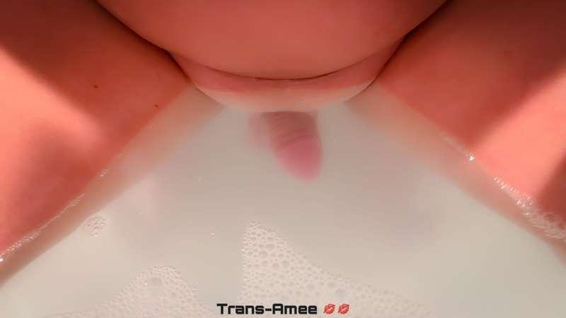 amee_trans image #3