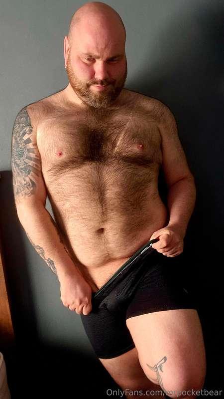 mrpocketbear image #0