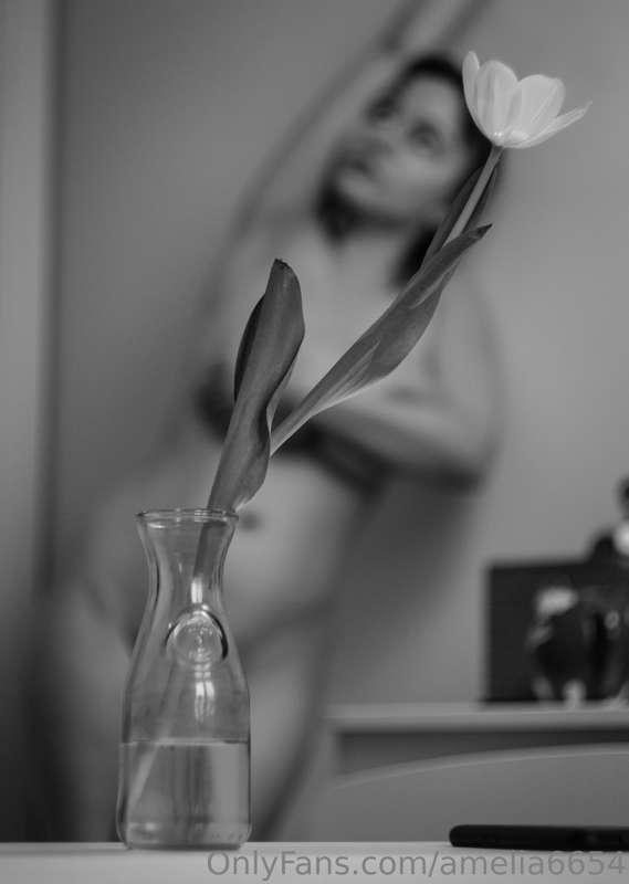 amelia6654 image #0