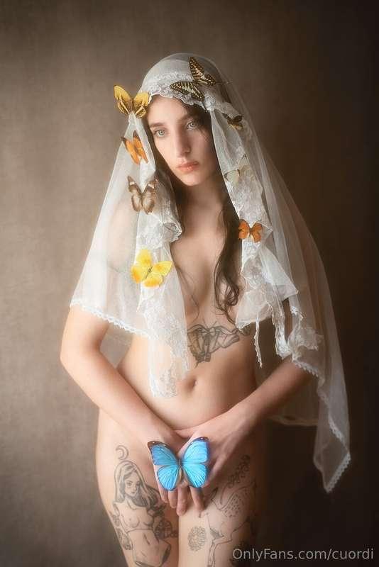Madonna Lepidoptera