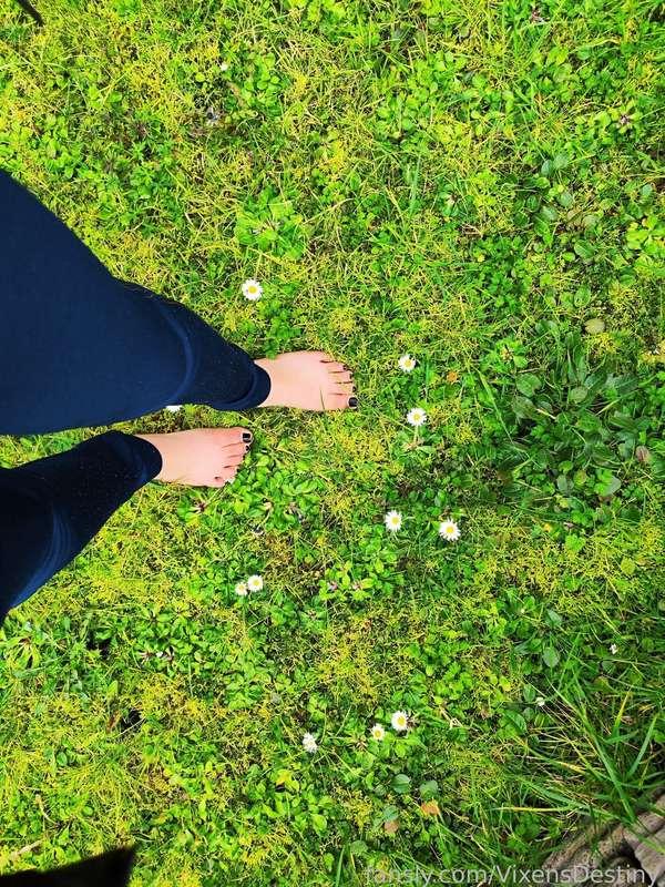 vixensdestiny image #1