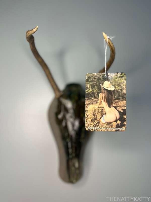 thenattykatty image #1