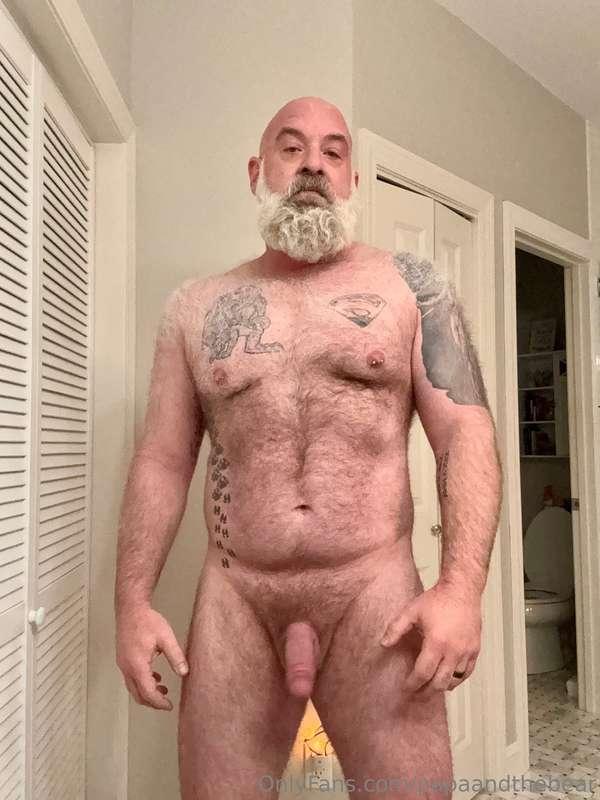 papaandthebear image #0