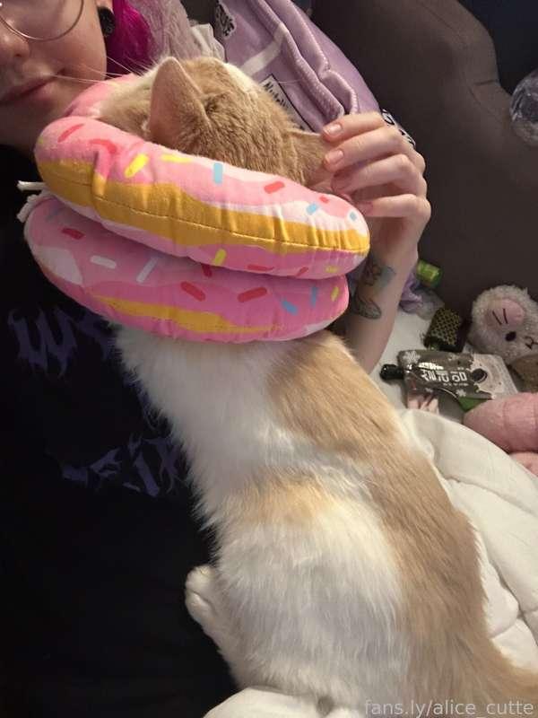 alice_cutte image #0