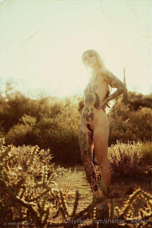 shelbie__welbie image #0