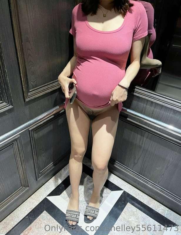 shelley55611473 image #0