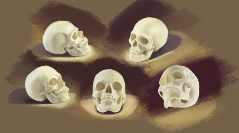Painting Practice
