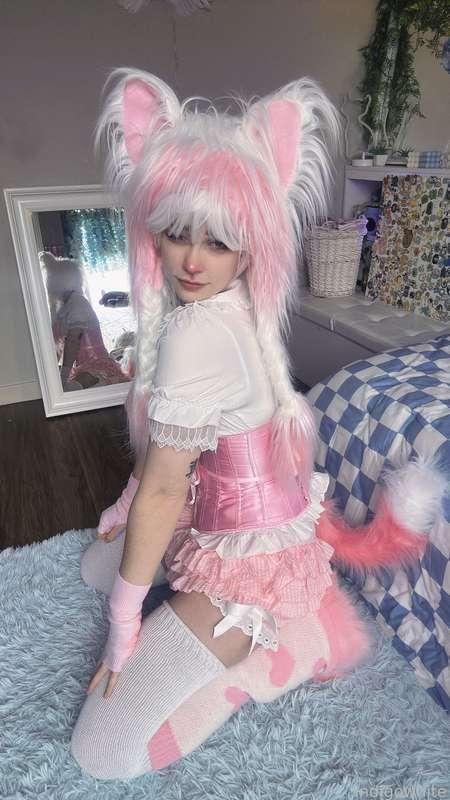 indigowhite image #74