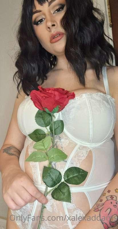### undress me...