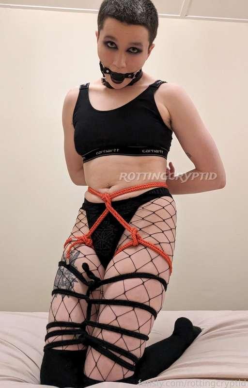 Rope is my favourite outfit!

#kinky #shibari #rope #restrained #bdsm #gagged #ballgag #alt #goth #emo #fishnets #shorthair #boi #kink #masochist #submissive #bondage